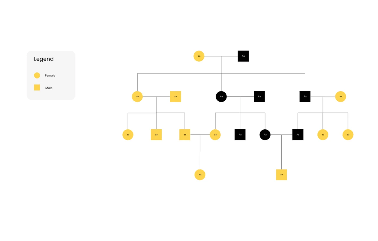 Customizable pedigree diagram template showing organized family tree structure with hereditary trait mapping capabilities and ancestry connection visualization