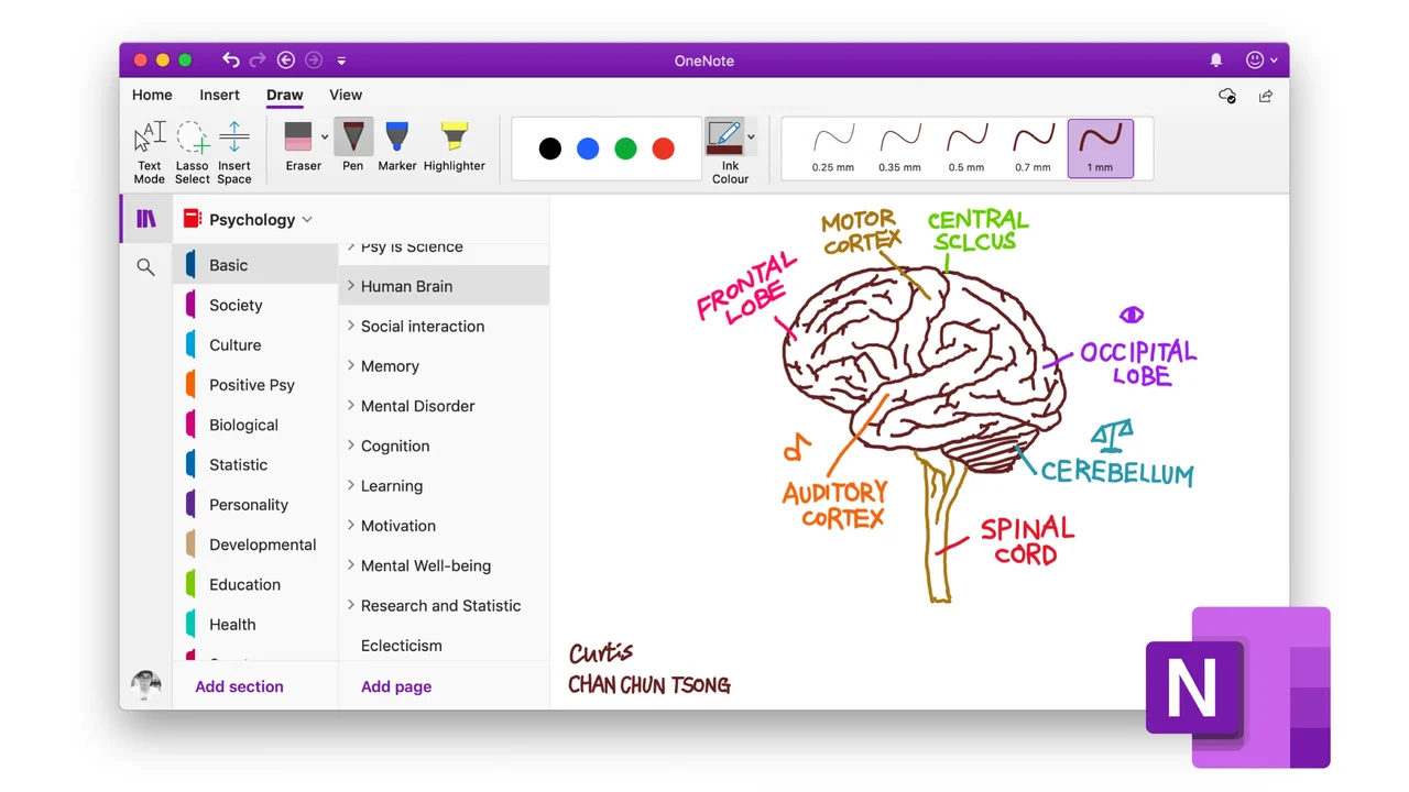 Microsoft Onenote