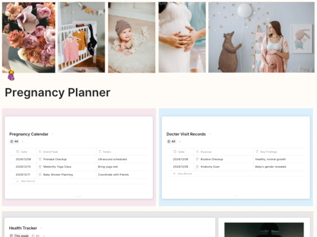 Pregnancy Planner